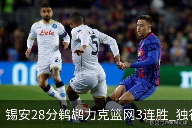 锡安28分鹈鹕力克篮网3连胜 独行侠险胜马刺